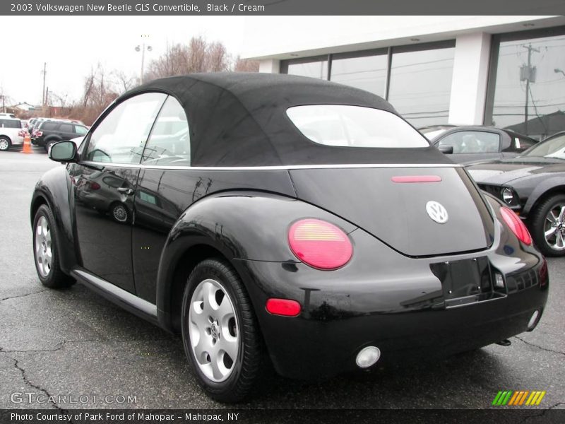 Black / Cream 2003 Volkswagen New Beetle GLS Convertible