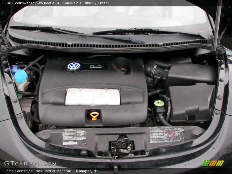 Black / Cream 2003 Volkswagen New Beetle GLS Convertible