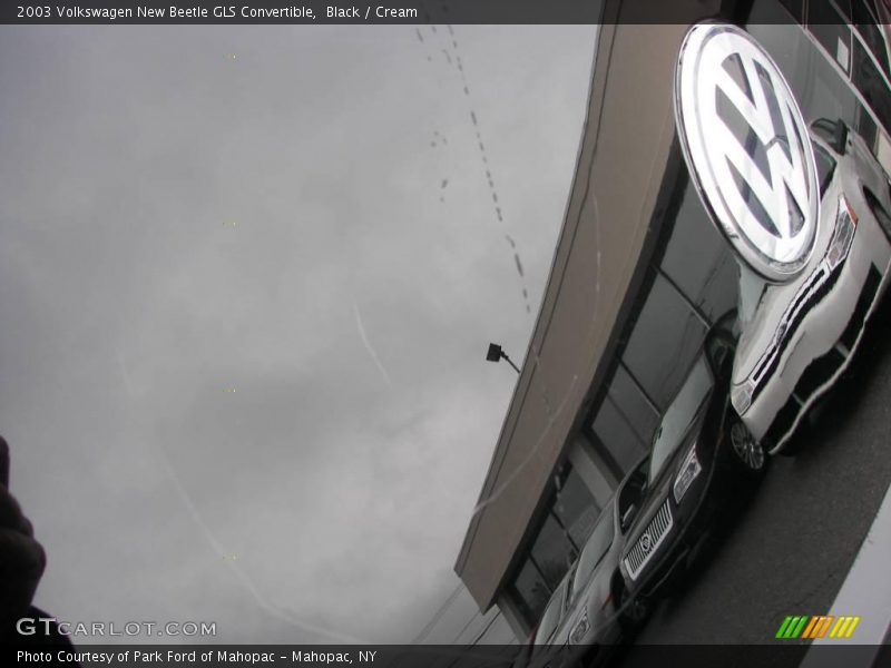 Black / Cream 2003 Volkswagen New Beetle GLS Convertible