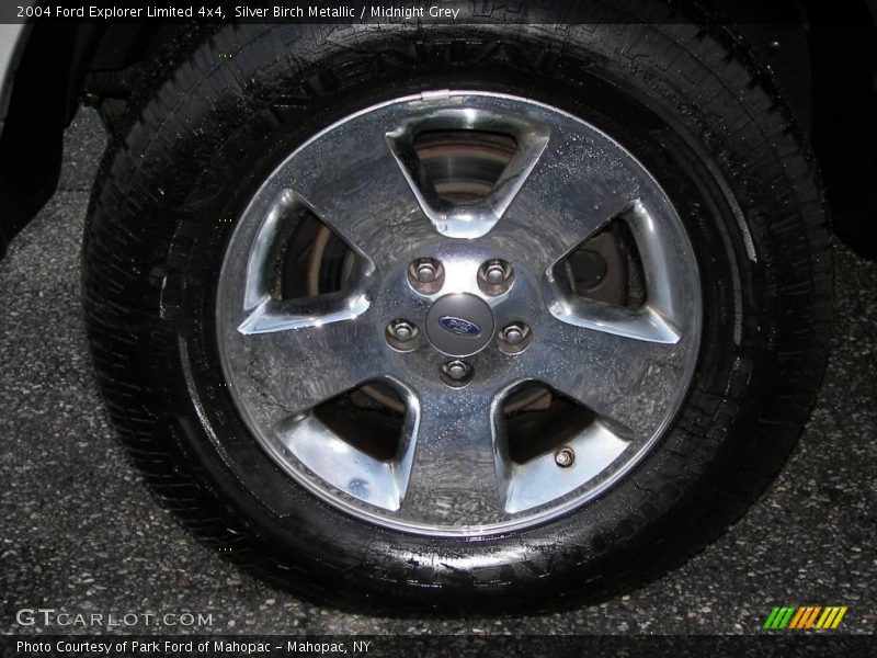 Silver Birch Metallic / Midnight Grey 2004 Ford Explorer Limited 4x4