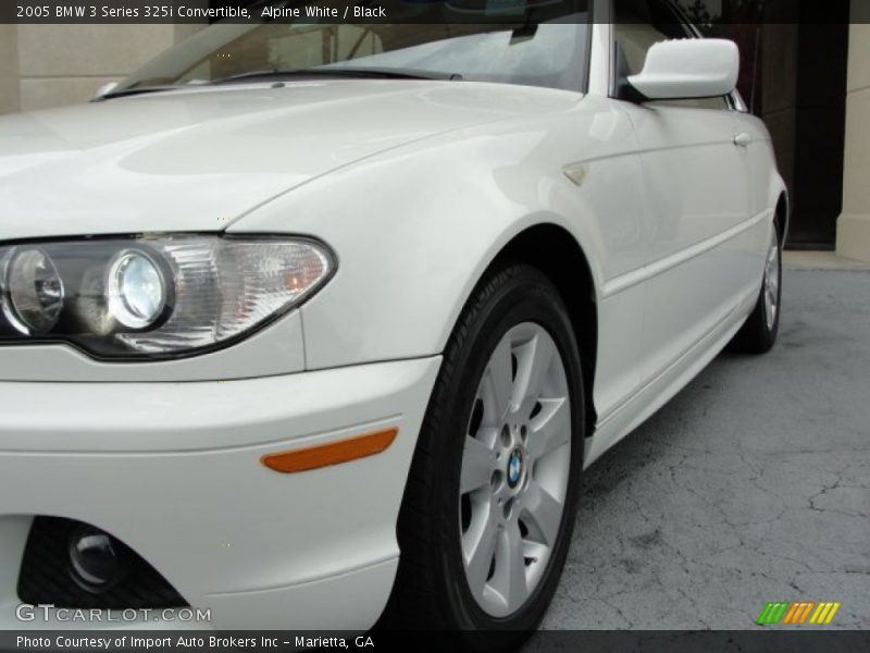 Alpine White / Black 2005 BMW 3 Series 325i Convertible