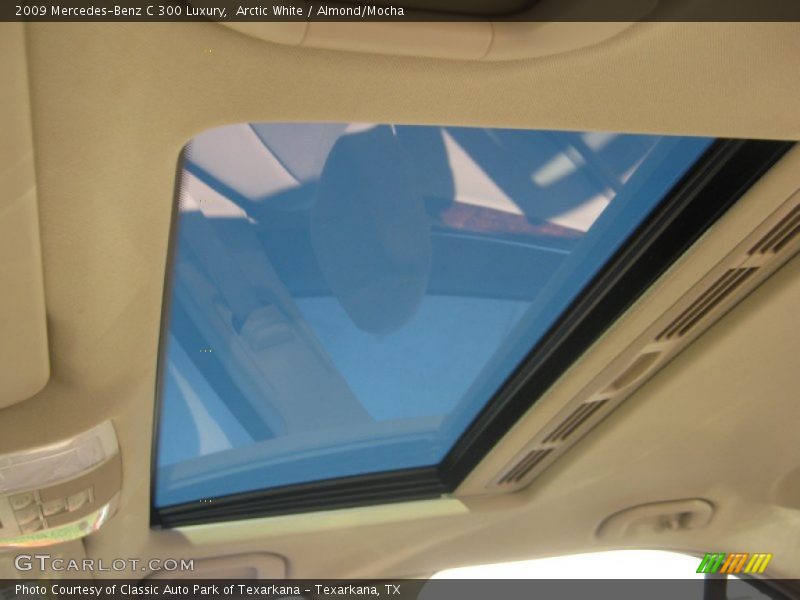 Arctic White / Almond/Mocha 2009 Mercedes-Benz C 300 Luxury