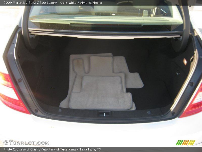 Arctic White / Almond/Mocha 2009 Mercedes-Benz C 300 Luxury