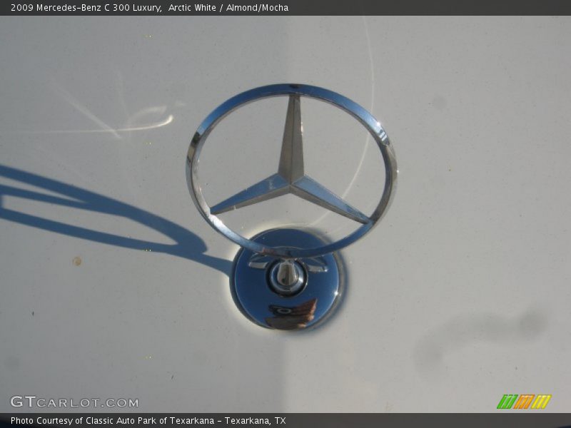 Arctic White / Almond/Mocha 2009 Mercedes-Benz C 300 Luxury