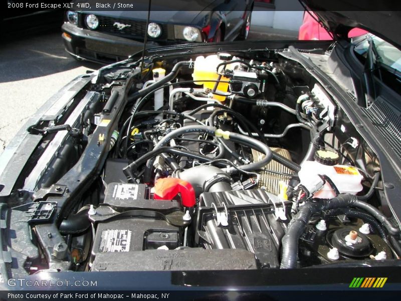 Black / Stone 2008 Ford Escape XLT 4WD