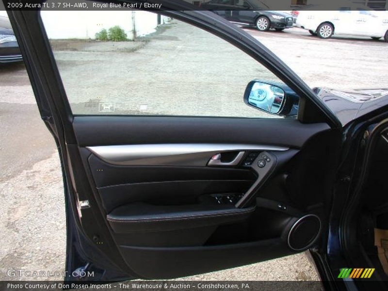 Door Panel of 2009 TL 3.7 SH-AWD