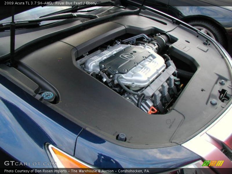 Royal Blue Pearl / Ebony 2009 Acura TL 3.7 SH-AWD