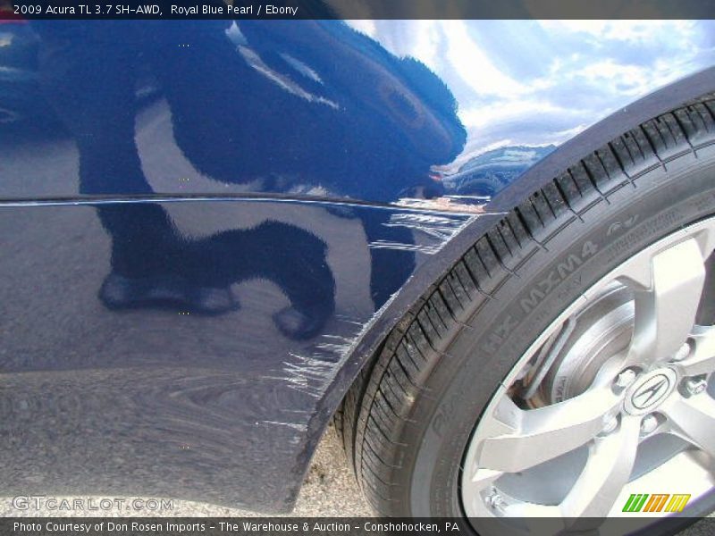 Royal Blue Pearl / Ebony 2009 Acura TL 3.7 SH-AWD
