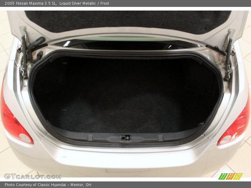 Liquid Silver Metallic / Frost 2005 Nissan Maxima 3.5 SL