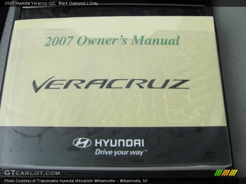 Black Diamond / Gray 2007 Hyundai Veracruz GLS