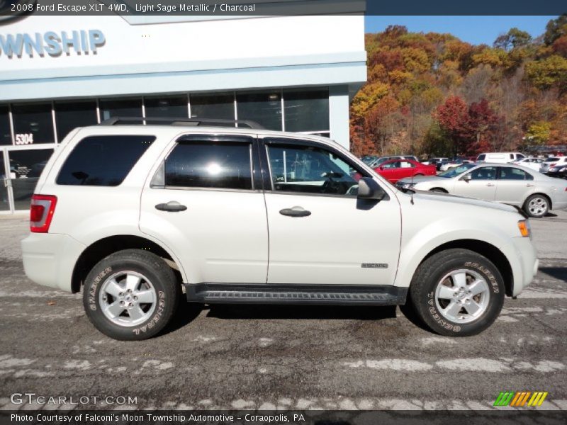 Light Sage Metallic / Charcoal 2008 Ford Escape XLT 4WD