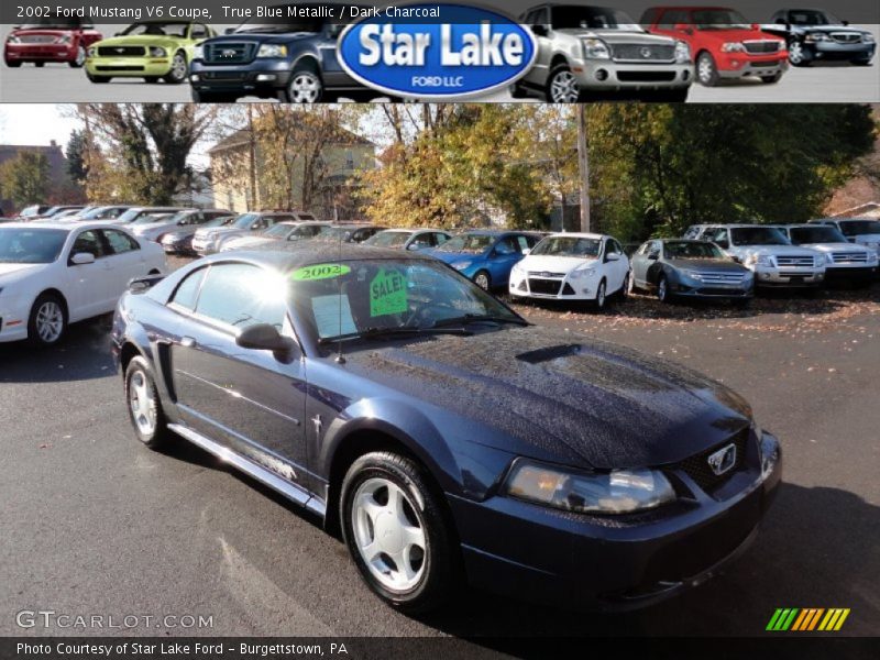True Blue Metallic / Dark Charcoal 2002 Ford Mustang V6 Coupe