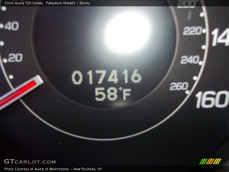Palladium Metallic / Ebony 2009 Acura TSX Sedan