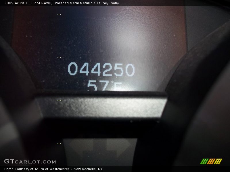 Polished Metal Metallic / Taupe/Ebony 2009 Acura TL 3.7 SH-AWD