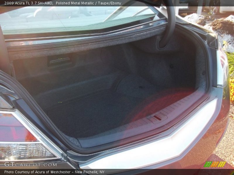 Polished Metal Metallic / Taupe/Ebony 2009 Acura TL 3.7 SH-AWD