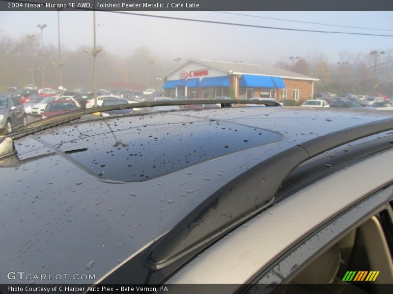 Polished Pewter Metallic / Cafe Latte 2004 Nissan Murano SE AWD