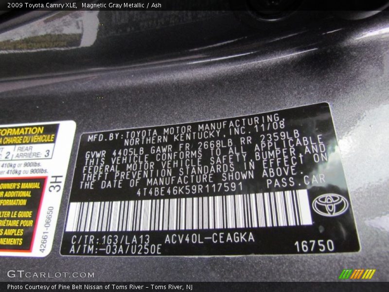 Magnetic Gray Metallic / Ash 2009 Toyota Camry XLE