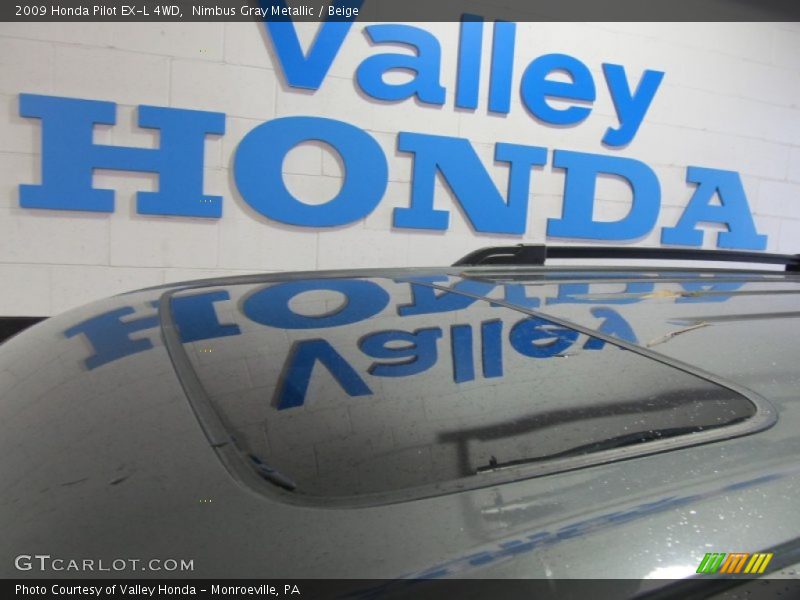 Nimbus Gray Metallic / Beige 2009 Honda Pilot EX-L 4WD