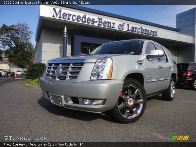 Silver Lining / Ebony 2010 Cadillac Escalade Premium AWD