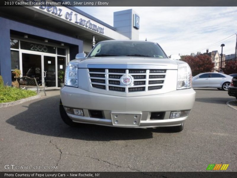 Silver Lining / Ebony 2010 Cadillac Escalade Premium AWD