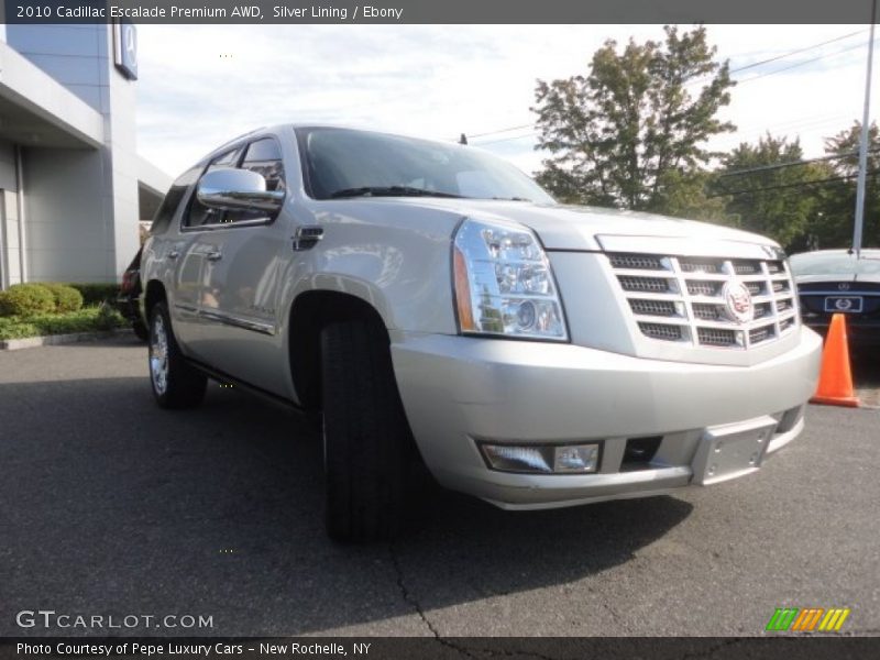 Silver Lining / Ebony 2010 Cadillac Escalade Premium AWD