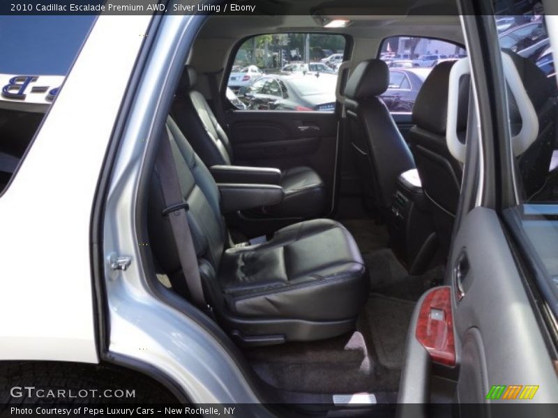 Silver Lining / Ebony 2010 Cadillac Escalade Premium AWD