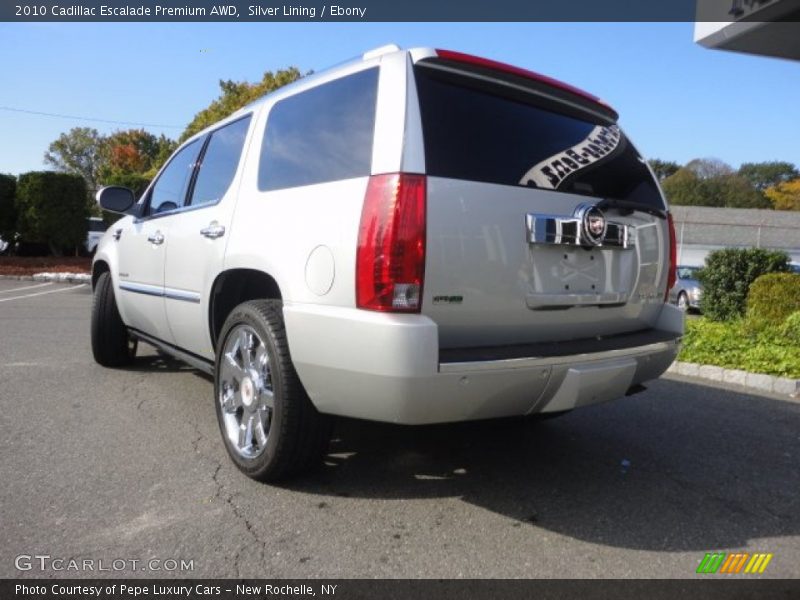 Silver Lining / Ebony 2010 Cadillac Escalade Premium AWD