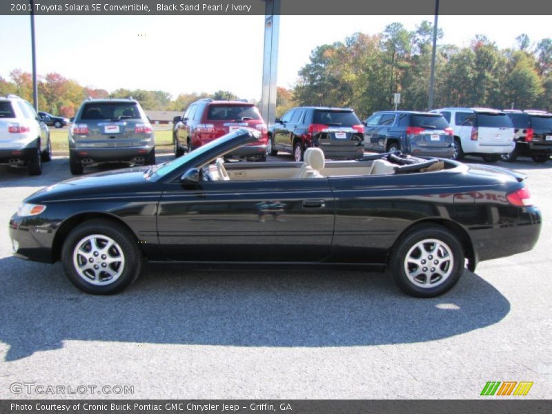 Black Sand Pearl / Ivory 2001 Toyota Solara SE Convertible