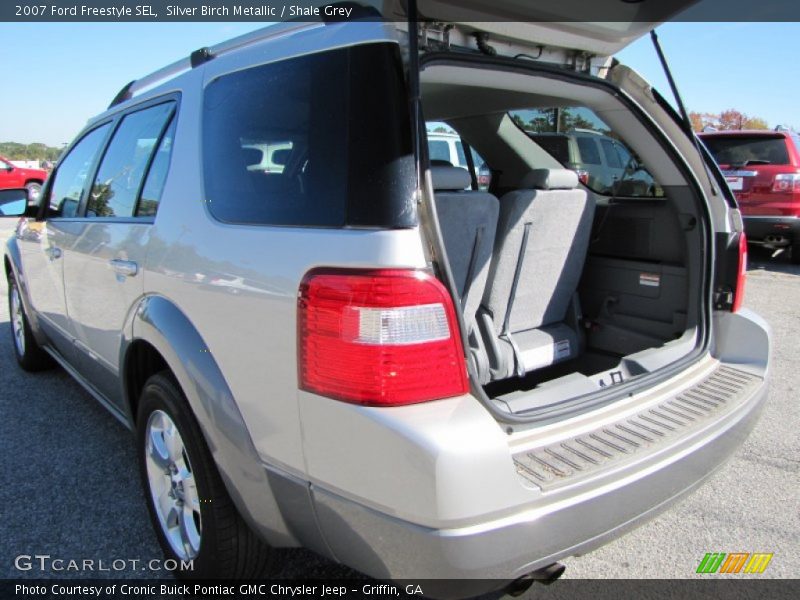 Silver Birch Metallic / Shale Grey 2007 Ford Freestyle SEL