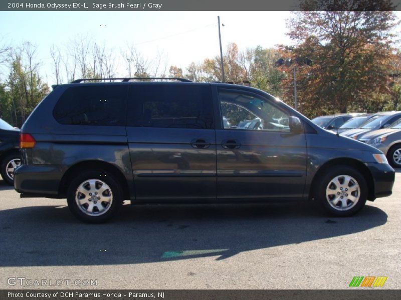 Sage Brush Pearl / Gray 2004 Honda Odyssey EX-L