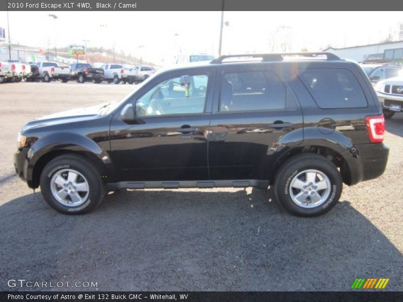 Black / Camel 2010 Ford Escape XLT 4WD