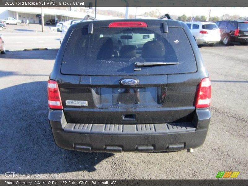 Black / Camel 2010 Ford Escape XLT 4WD