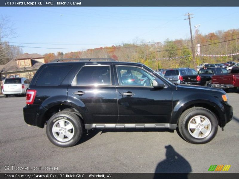 Black / Camel 2010 Ford Escape XLT 4WD