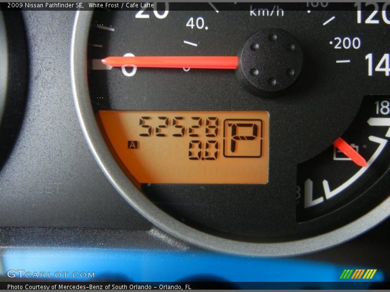 White Frost / Cafe Latte 2009 Nissan Pathfinder SE