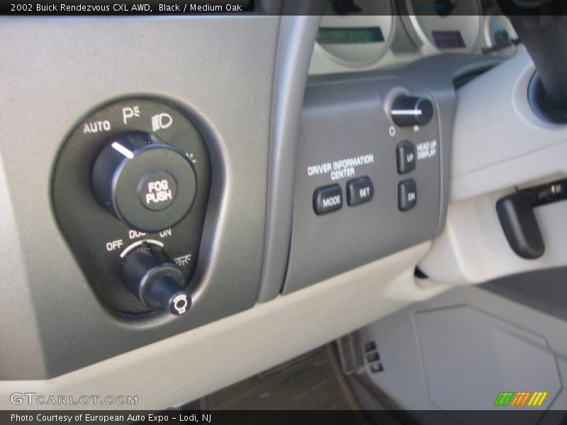 Black / Medium Oak 2002 Buick Rendezvous CXL AWD