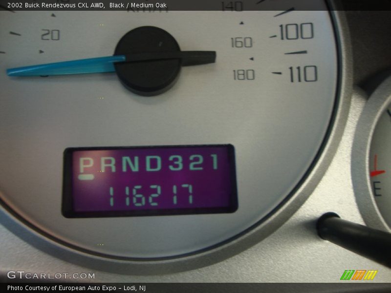 Black / Medium Oak 2002 Buick Rendezvous CXL AWD