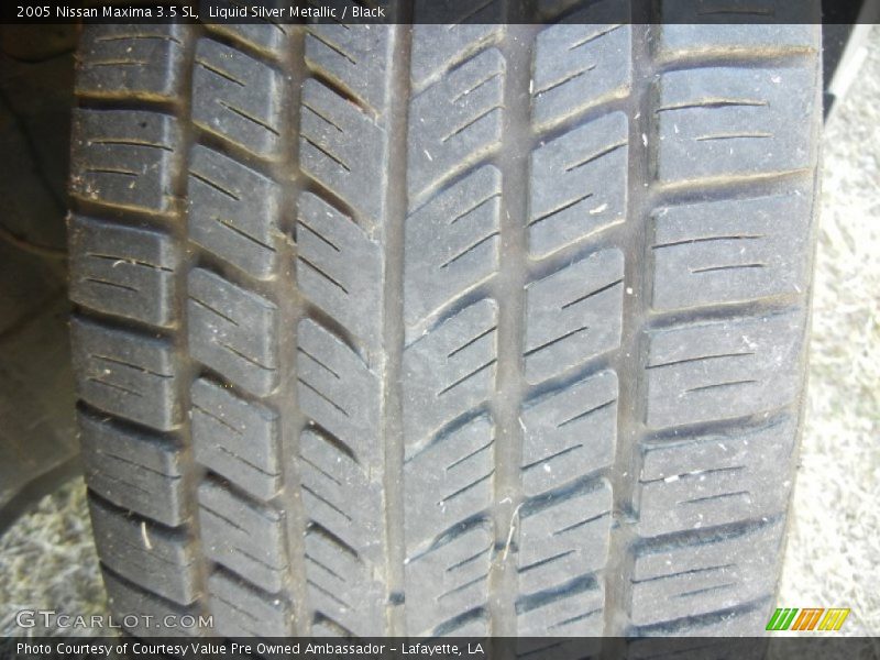 Liquid Silver Metallic / Black 2005 Nissan Maxima 3.5 SL