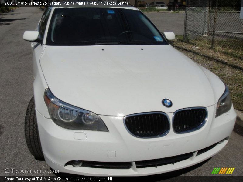 Alpine White / Auburn Dakota Leather 2006 BMW 5 Series 525i Sedan