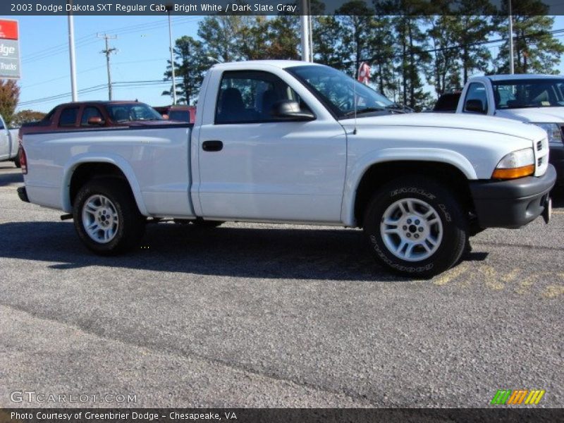 Bright White / Dark Slate Gray 2003 Dodge Dakota SXT Regular Cab