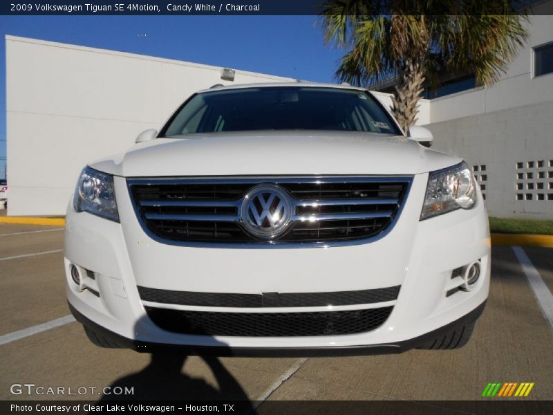 Candy White / Charcoal 2009 Volkswagen Tiguan SE 4Motion