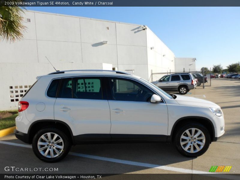 Candy White / Charcoal 2009 Volkswagen Tiguan SE 4Motion