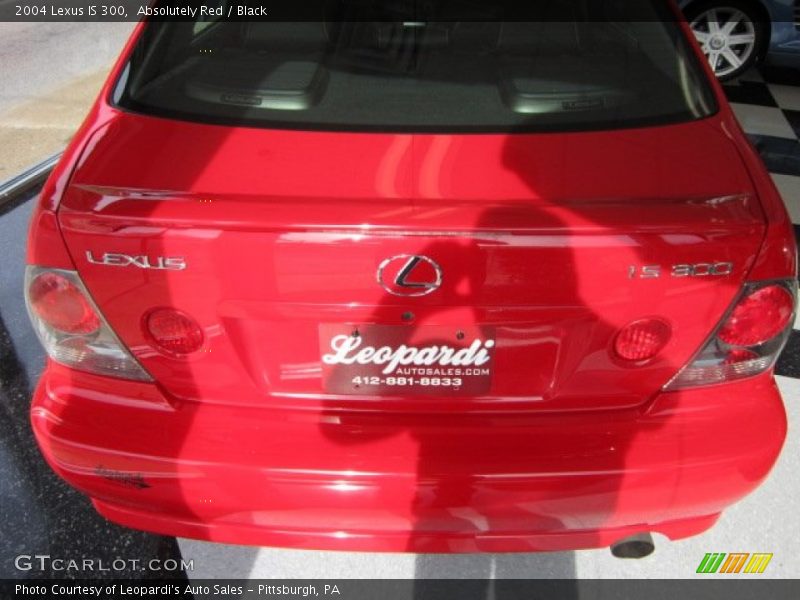 Absolutely Red / Black 2004 Lexus IS 300