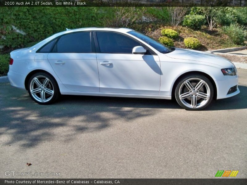  2010 A4 2.0T Sedan Ibis White