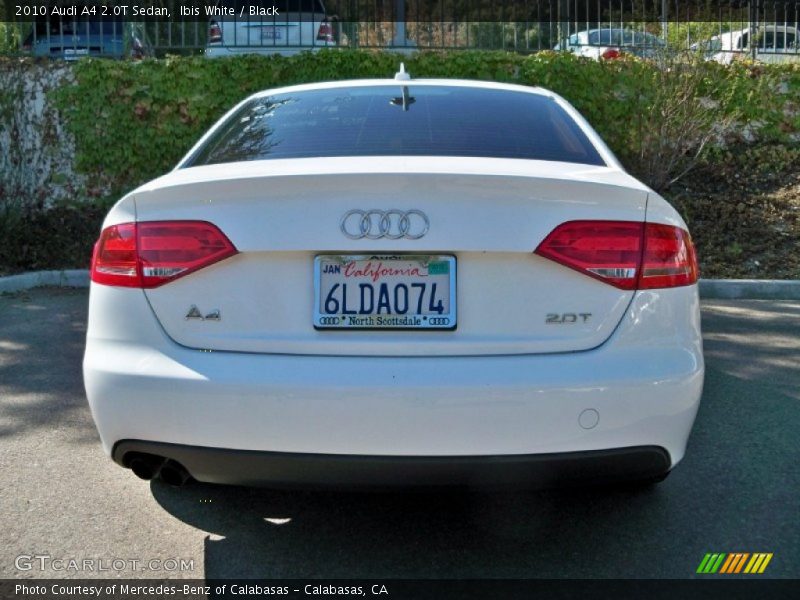 Ibis White / Black 2010 Audi A4 2.0T Sedan