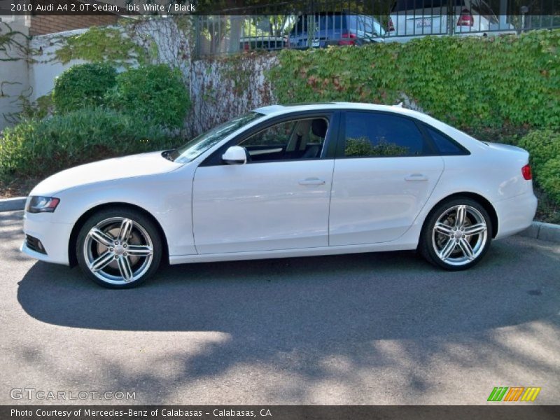 Ibis White / Black 2010 Audi A4 2.0T Sedan