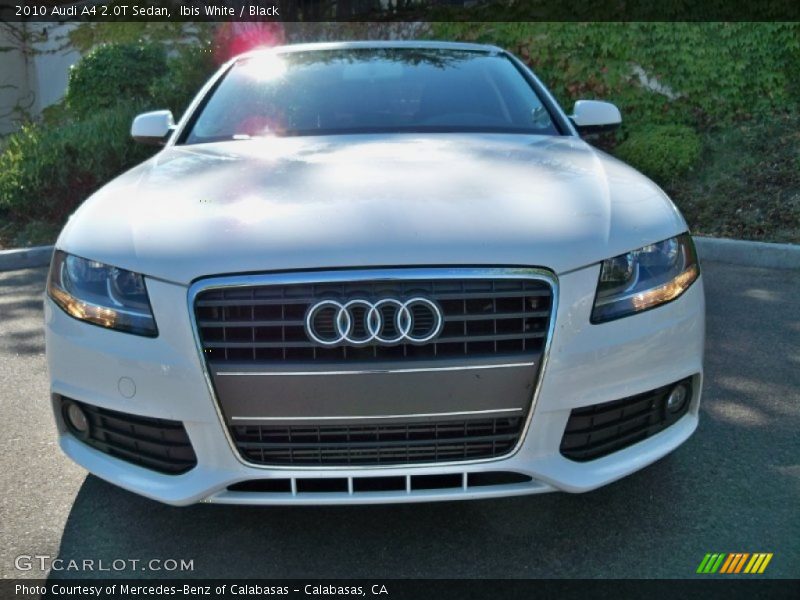Ibis White / Black 2010 Audi A4 2.0T Sedan