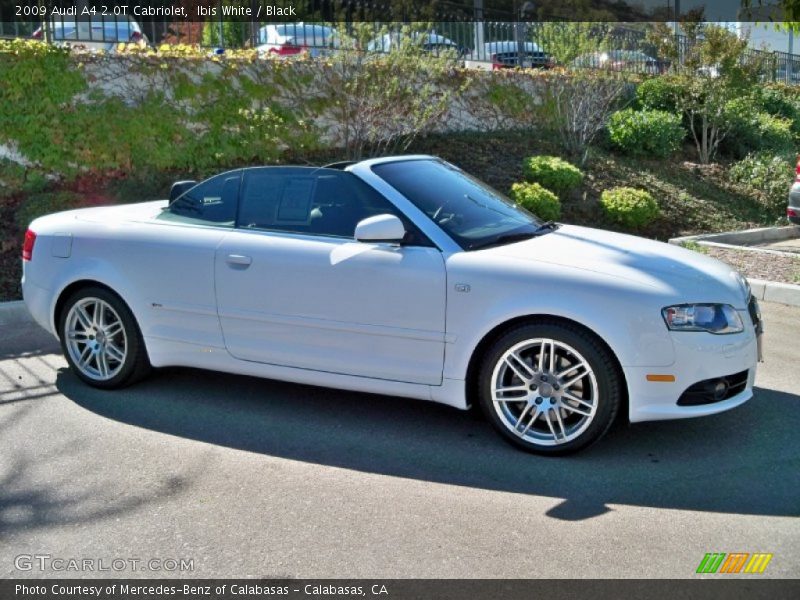 Ibis White / Black 2009 Audi A4 2.0T Cabriolet