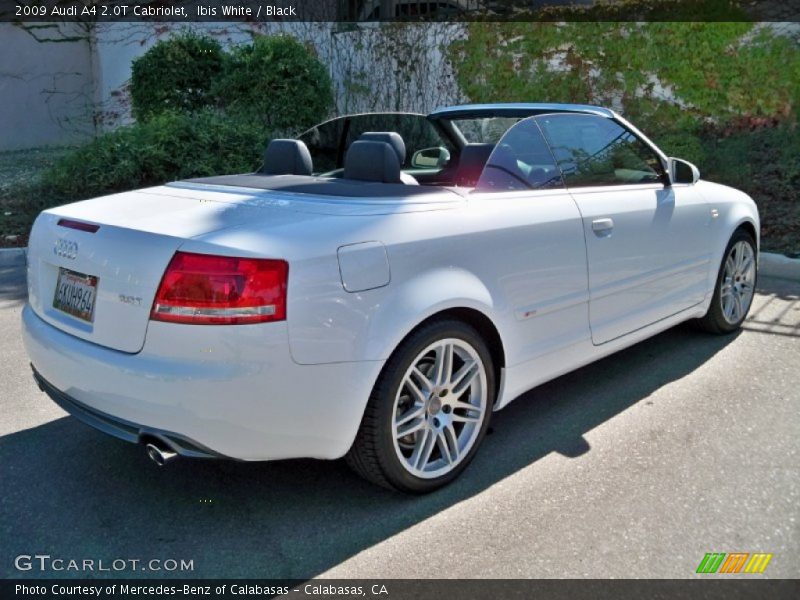 Ibis White / Black 2009 Audi A4 2.0T Cabriolet