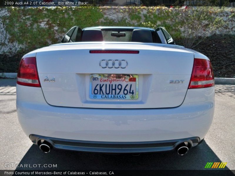 Ibis White / Black 2009 Audi A4 2.0T Cabriolet