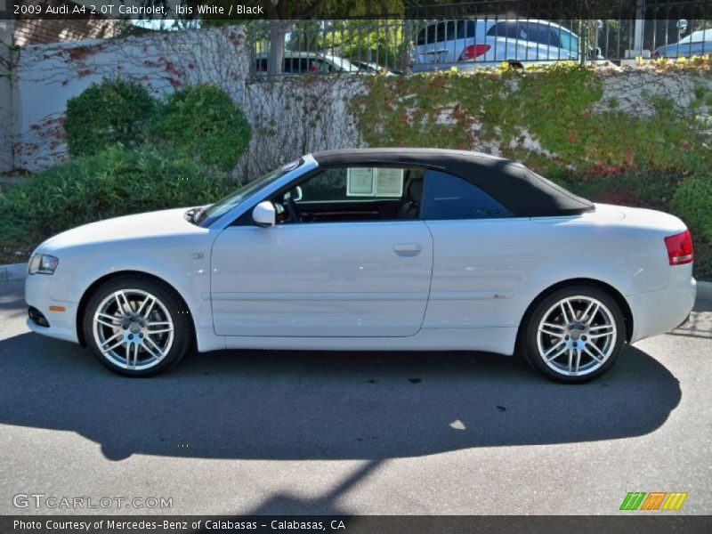 Ibis White / Black 2009 Audi A4 2.0T Cabriolet